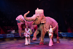 SK_M7907
